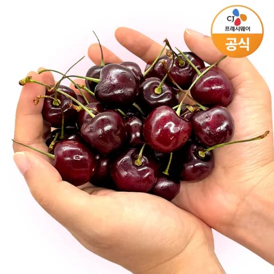 미국산 항공직송 26mm,28mm 체리 450g 1+1개 (15,100원~/무료)1
