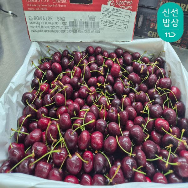 직수입 워싱턴 항공 체리 9.5/9R 특대과 5KG (1박스) (53,510원~/무료)1