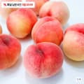딱딱이 복숭아 1.5kg (9,800원/무료)5