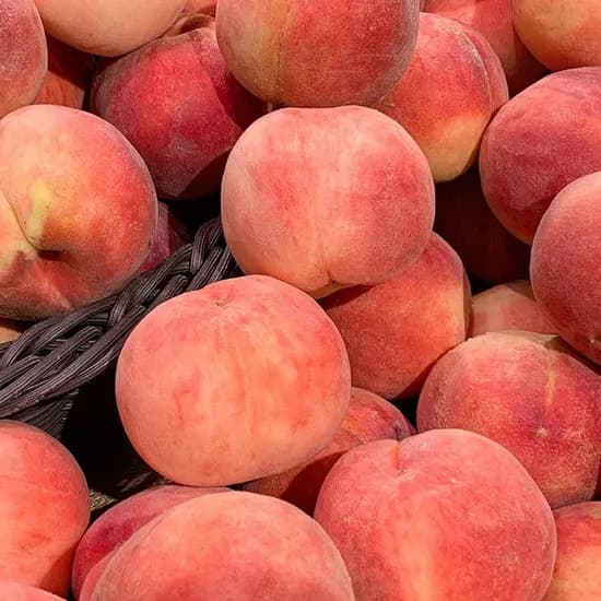 달콤한 딱딱이 백도 복숭아 2KG 중과 11~12과 (9,740원/무배)