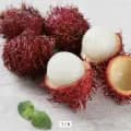 냉동 열대과일 람부탄 1kg + 1kg (11,300원/무료)1