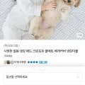 시원한 얼음 냉감 패드 크린포유 쿨매트 SS (29,800원/무료)