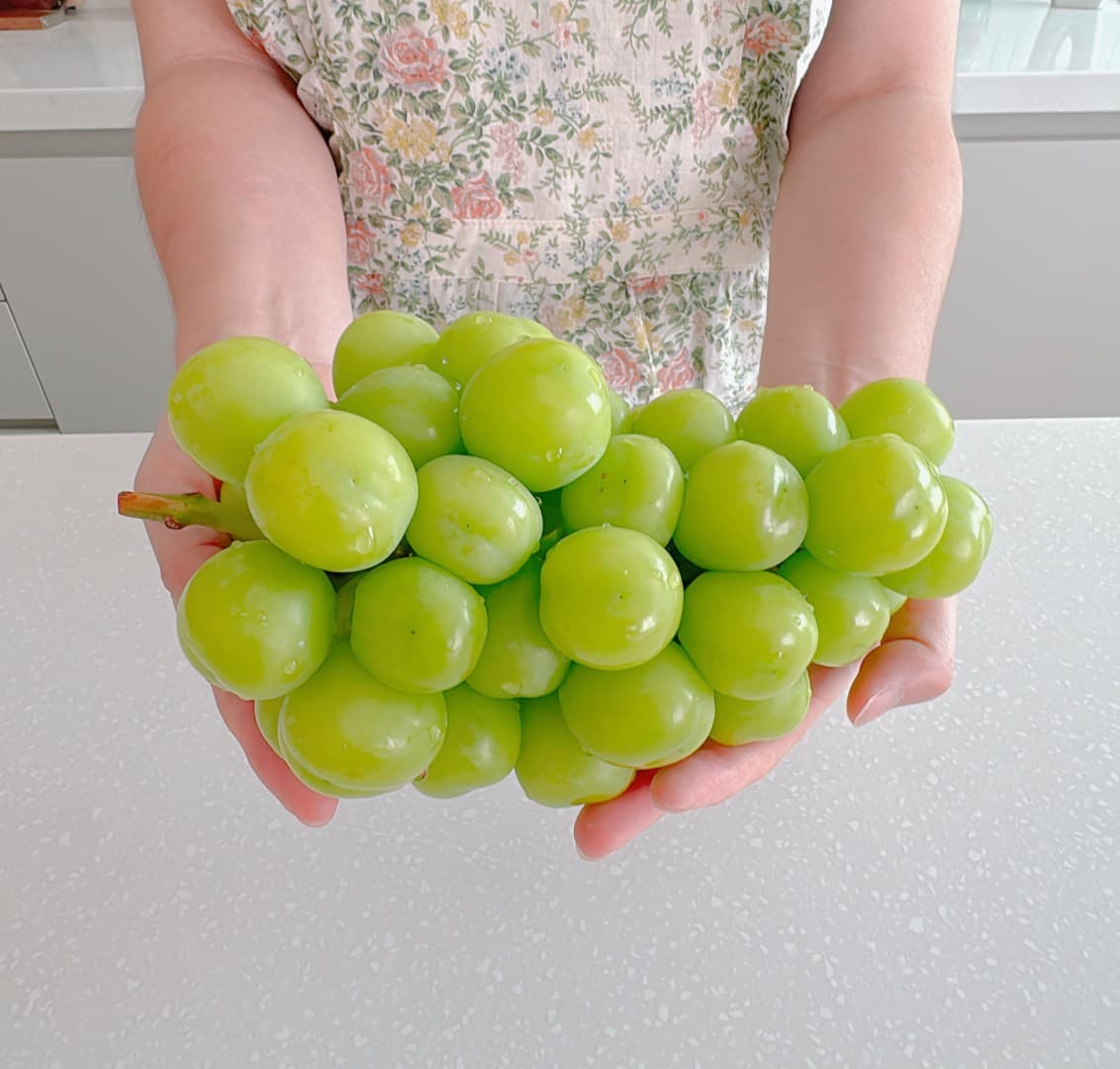 김천 샤인머스켓 4kg 산지직송 (56000,배송비 별도 5000)1
