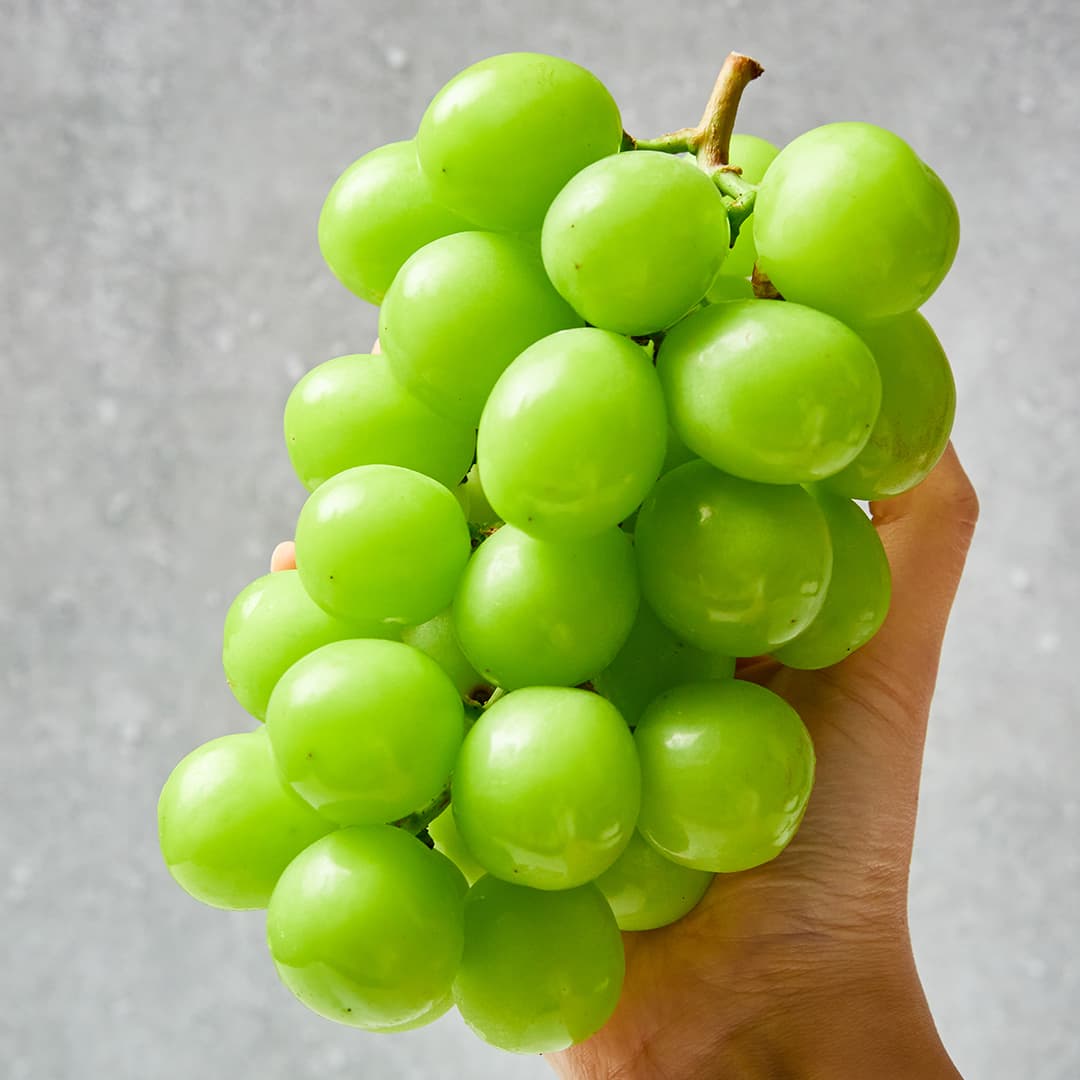샤인머스캣 1kg 3수 (10,900원/무료)1