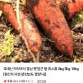 국내산 경남 햇 당근 왕 쥬스용 3kg (4,900원/무배)