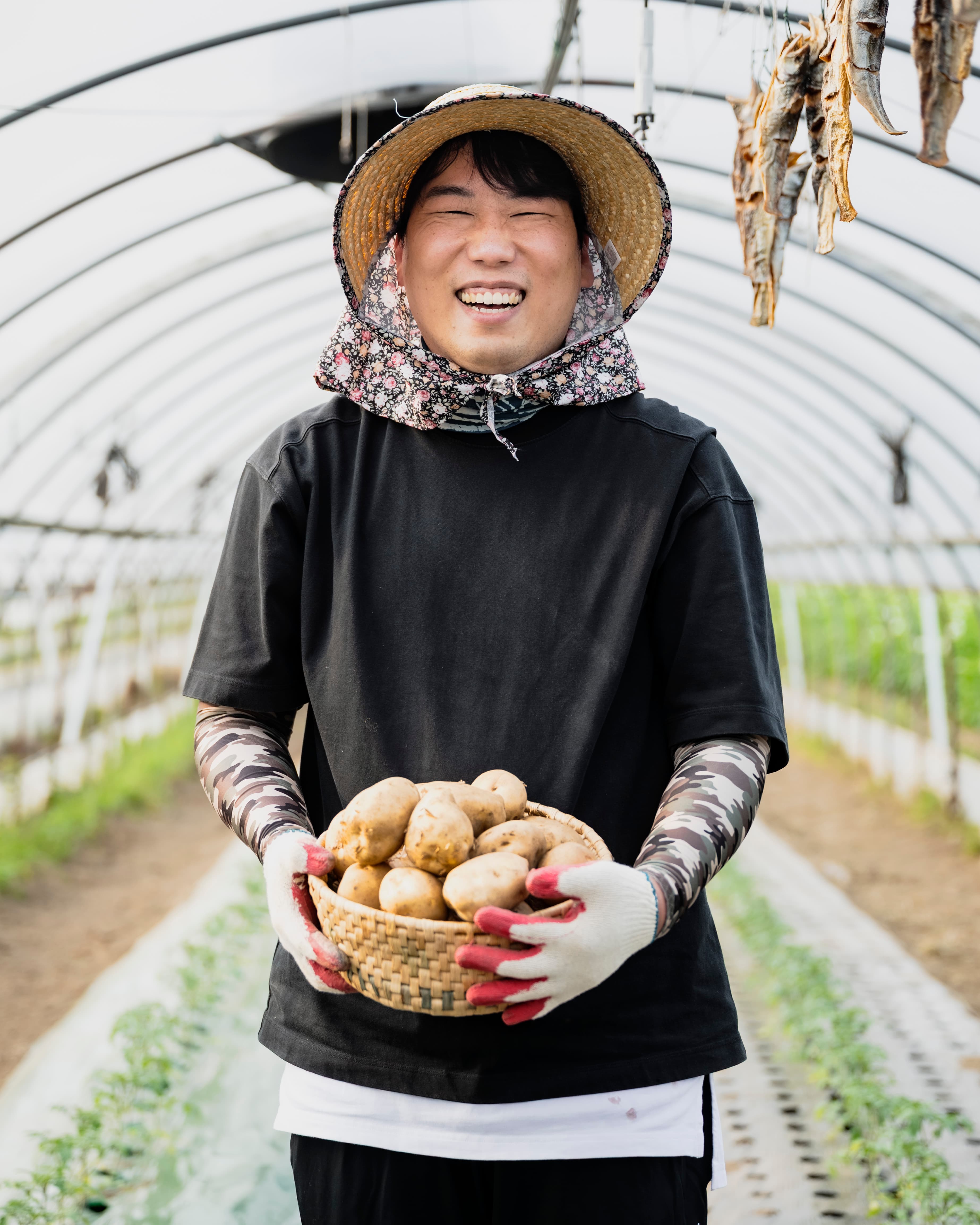 강원도 햇감자 3kg 왕왕사이즈 (10,900원/무료)