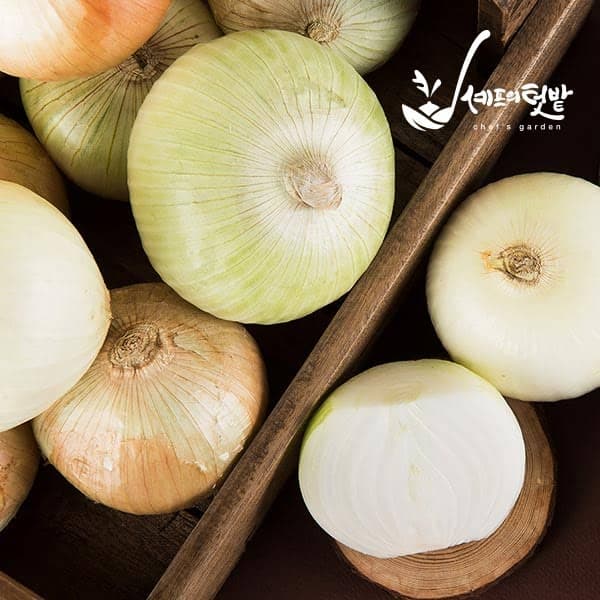 25년산 햇양파 출시! 산지직송! 3kg/5kg [ 3,290원 ] ( 무료배송 )1
