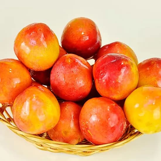 햇 도담자두 2kg
