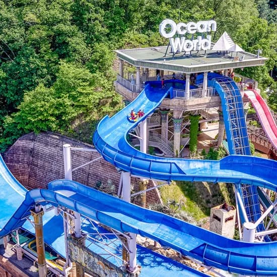 비발디파크 오션월드 종일권 구명자켓 패키지