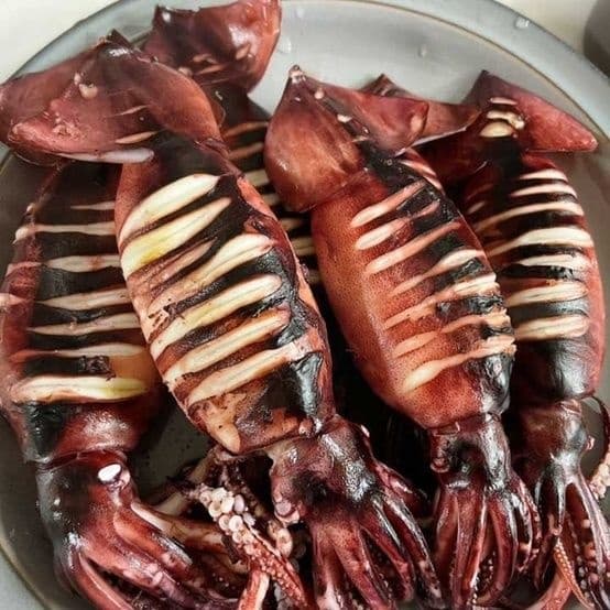 동해안 급냉 통찜오징어 800~1kg