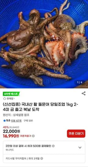 국내산 활 돌문어 1kg 2-4미
