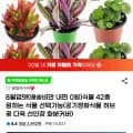 식물 42종