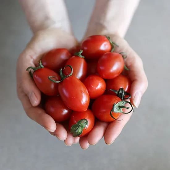 대추 방울토마토 로얄과 2kg