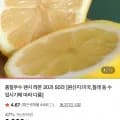 팬시 레몬 중소과 20과