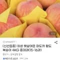 의성 마도카 황도복숭아 4kg 중대과