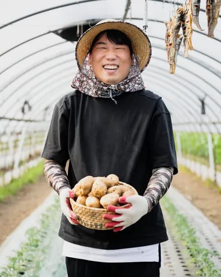 강원도 햇감자 3kg 중사이즈