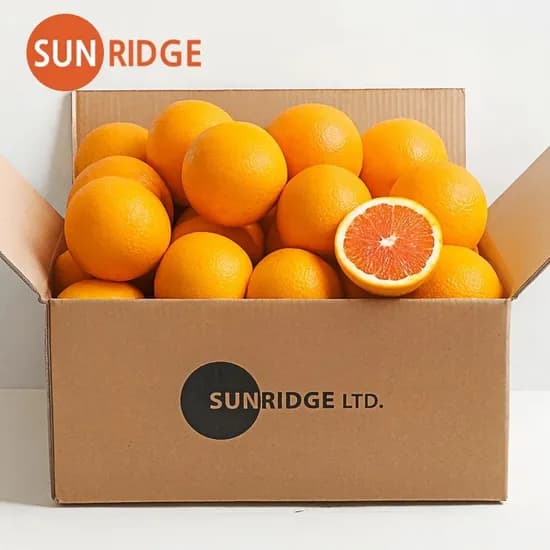 썬리지 고당도 카라카라 오렌지 중대과 4kg 17-20과 내외
