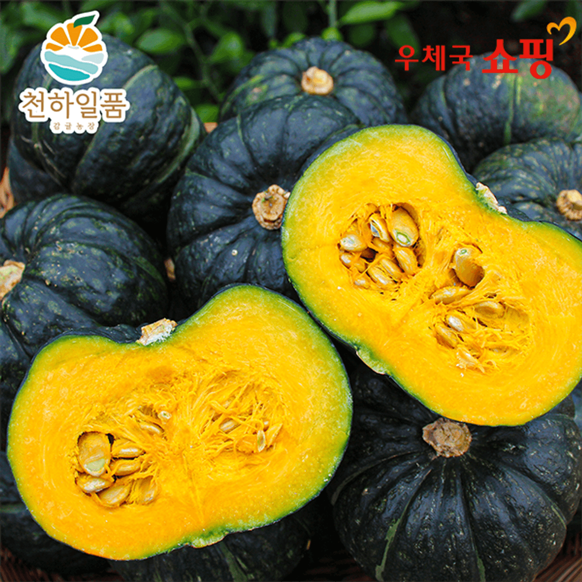 미니 단호박 2kg 특품