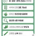 장 피부 면역 알로에겔 젤리 14포 6개