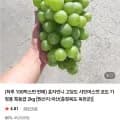샤인머스켓 16브릭스 이상 2kg