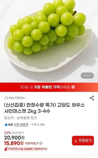고당도 하우스 샤인머스캣 2kg 3~4수