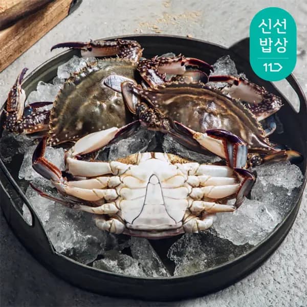 태안 자연산 활 꽃게 2kg 6-10미