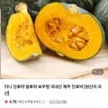 못난이 미니 단호박 2kg 외