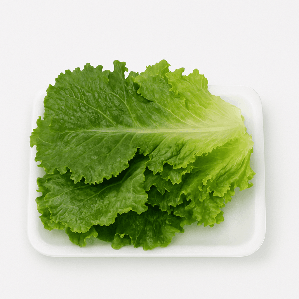 로메인상추 1kg