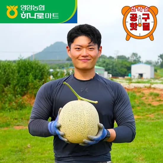 농협 프리미엄 산지직송 머스크 멜론 2kg x 2수