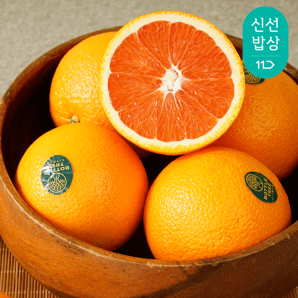 카라카라 오렌지 중대과 3kg 14~16입