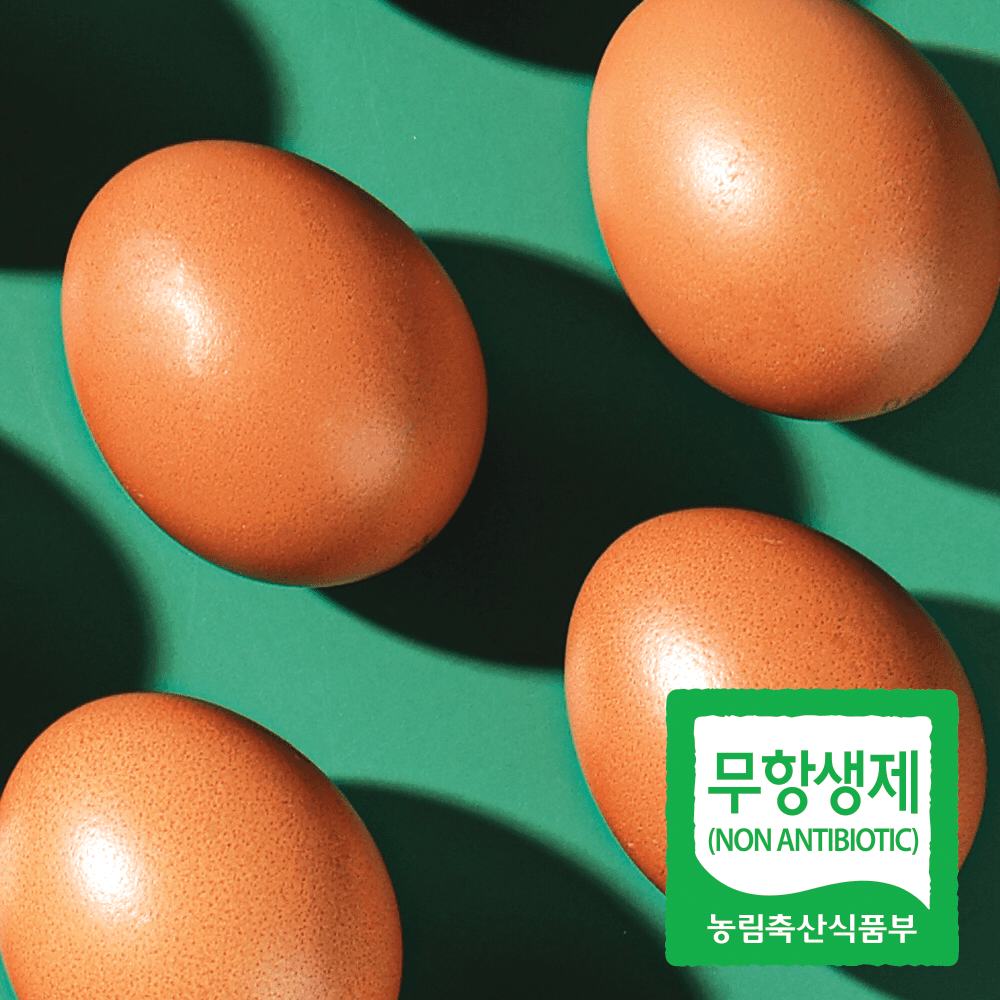 무항생제 구운계란 맥반석 계란 60구