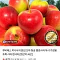 루비에스 미니사과 청송 홍로사과 2kg