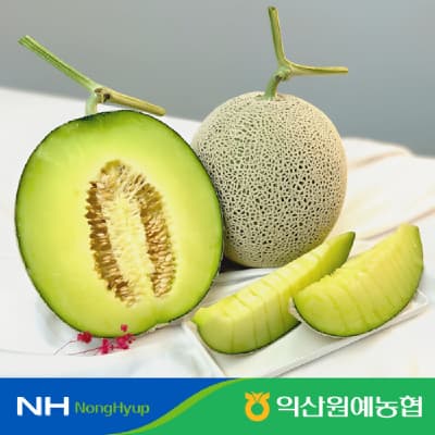 하우스 머스크 멜론 특 4kg