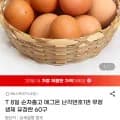 에그온 배추김치 스파클 엑셀런트 사조참치 홍대쭈꾸미 등갈비 돈까스 고등어구이 외 다양