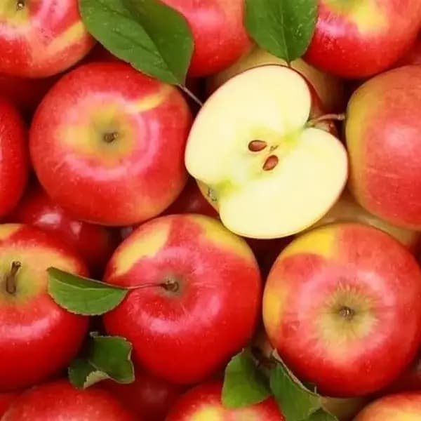 경북 홍로사과 3kg 20과내외