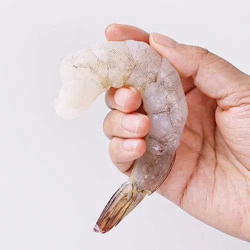 바른씨 손질 생 칵테일 새우 900g 소 8-90미 내외