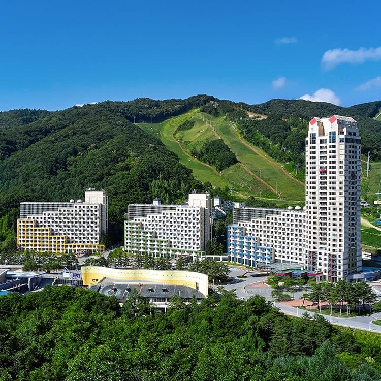 평창 휘닉스파크 치킨 액티비티 2인