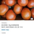 완숙토마토 1.5kg