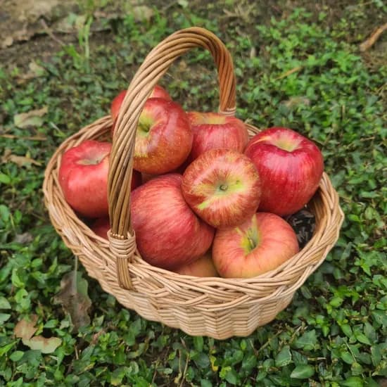 경북 홍로 꿀사과 2kg 소과 15과 가정용