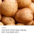 국내산 햇 감자 수미감자 대 5kg
