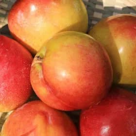 김천 햇자두 추희 자두 2kg