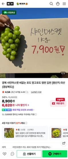 샤인머스켓 1kg 2-3수