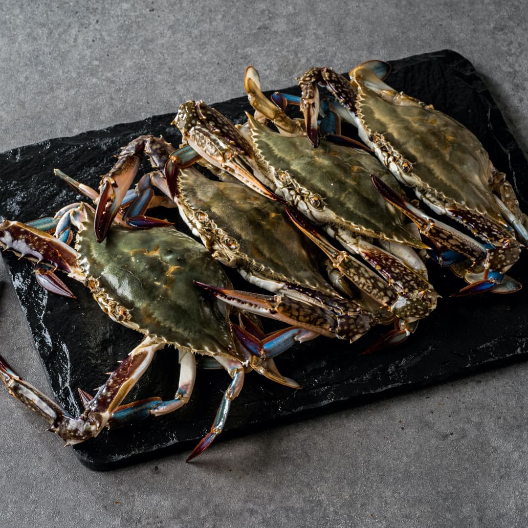 연평도 활 숫꽃게 2kg