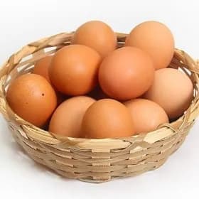 에그온 포기김치 섞박지 깍두기 청수냉면 생선구이 갈비탕 어성초 베네플러스 돈까스 참치 생연어 목우촌 갈비 삼육두유 다향오리 외 다양