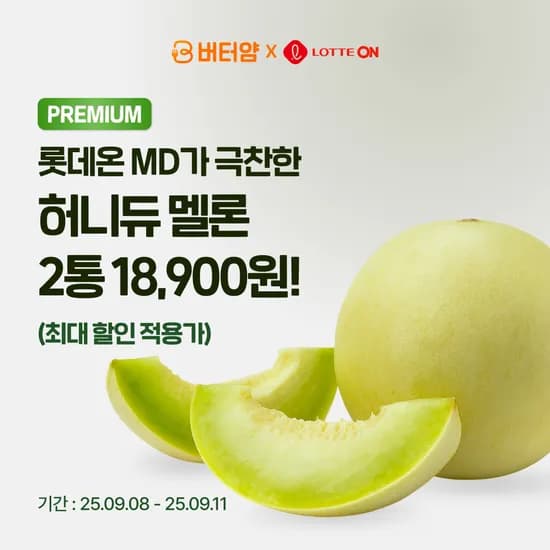 미국산 고당도 허니듀멜론 2수 4.4kg 내외