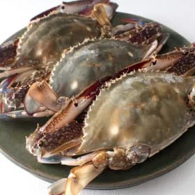 서해안 활 숫 꽃게 2kg 6~0미