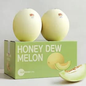 허니듀 멜론 선물세트 특대과 2.2kg X 2과