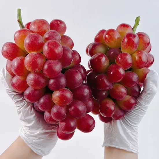 레드샤인머스켓 2kg