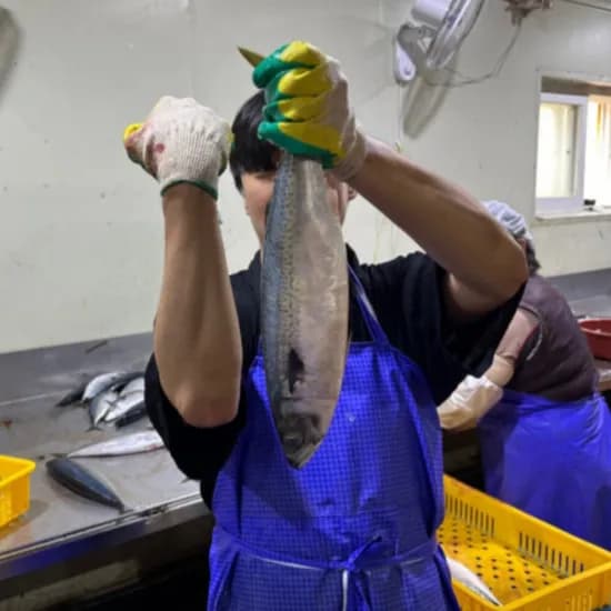 국내산 부산 손질 자반 고등어 특대 2마리 진공포장 37cm 이상 간고등어