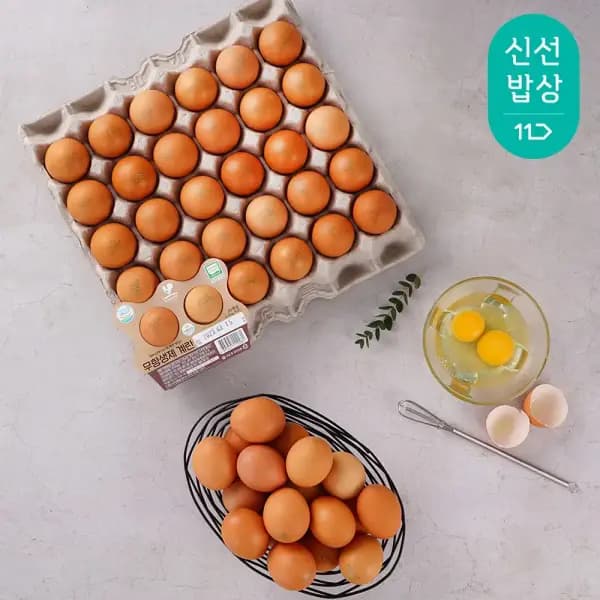 신선란 특란 30구